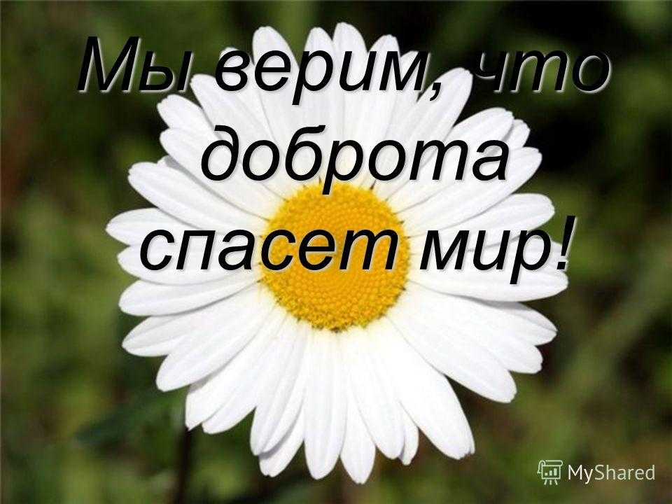 Картинка доброта спасет. Доброта спасет мир. Надпись доброта спасет мир. Только доброта спасет мир. Доброта спасет мир картинки.