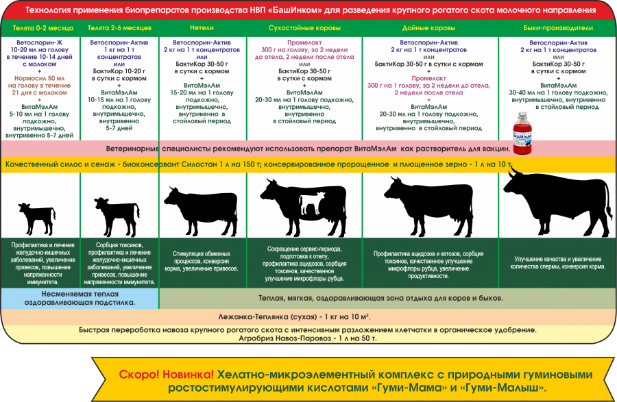 Методы улучшения пород кошек собак. Кормление крупного рогатого скота. Разведение крупного рогатого скота. Способы содержания сельскохозяйственных животных. Схема роста телят.