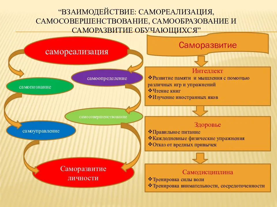 Этапы активной деятельности