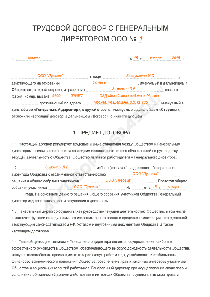 Контракт директора ооо образец рб