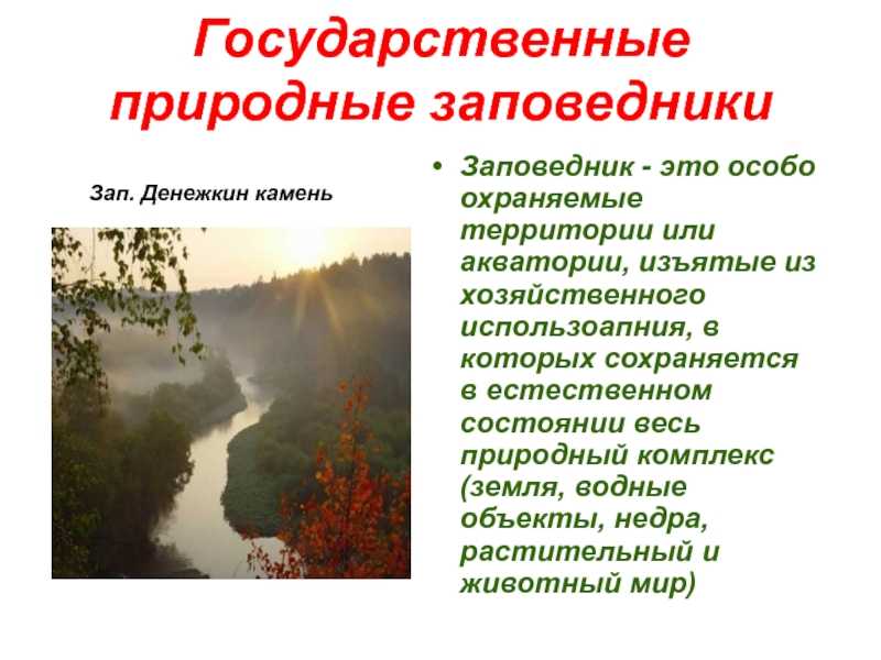 Как человек влияет на природу положительно и негативно