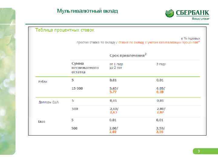 В каком банке и как открыть валютный счет? валютные счета для физических и юридических лиц
