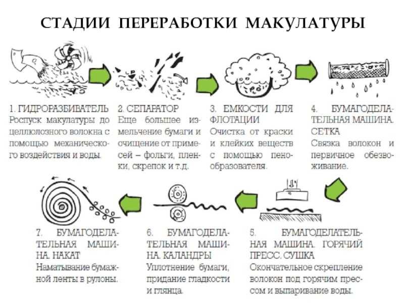 Бизнес-идея: прием макулатуры