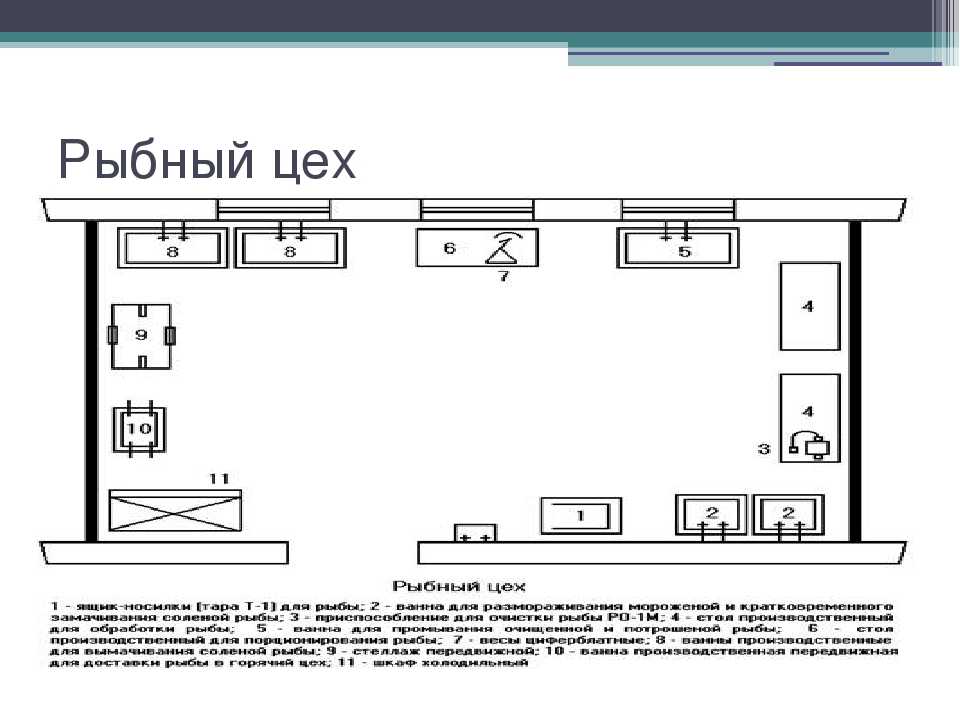 Схема овощного цеха с расстановкой оборудования и описанием