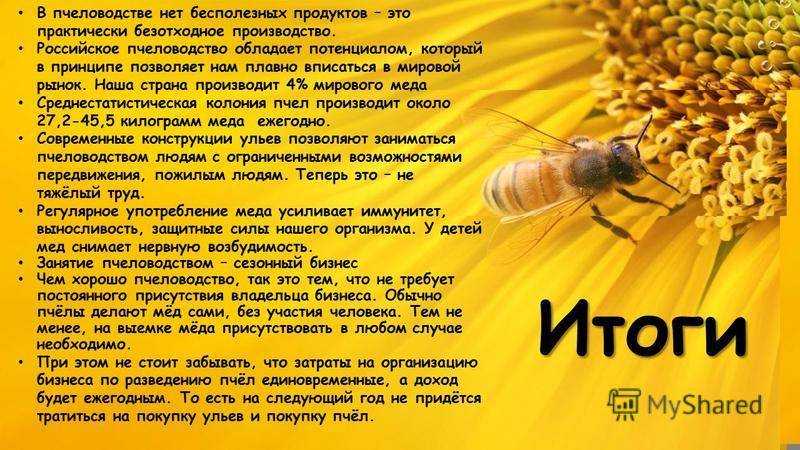 Бизнес-план по организации сбора меда. как открыть бизнес по пчеловодству?
