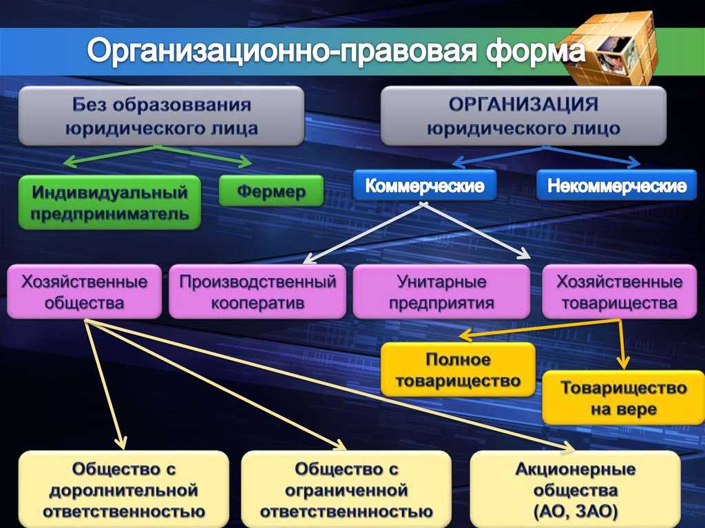 Коммерческие и некоммерческие организации и их формы