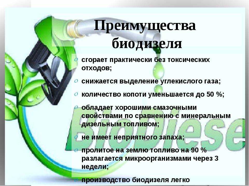 Как открыть производство биодизеля: готовый бизнес-план